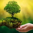 Канал Nature247 на автостриминге